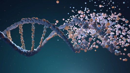 an image depicting a colorful abstract representation of a DNA double helix structure dissolving into smaller fragments against a dark background.