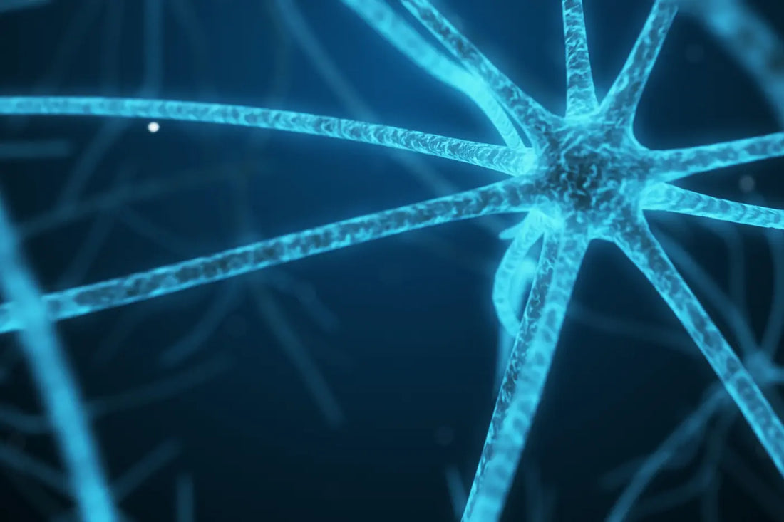 Close-up image of abstract blue neurons, representing brain activity and neural connections.