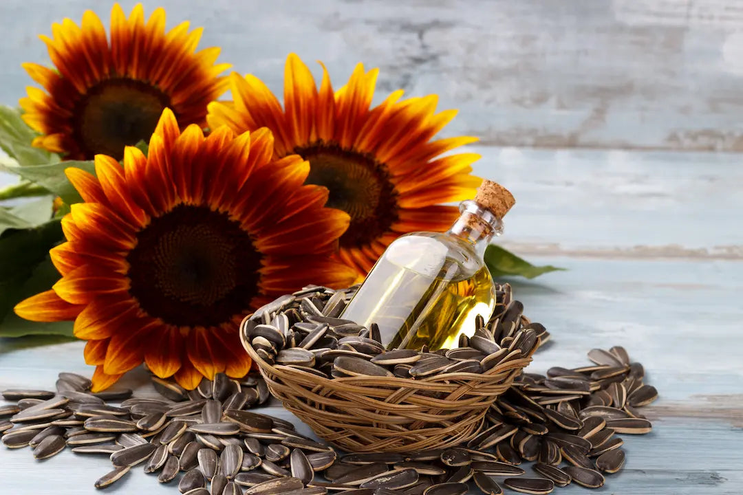 Image of sunflower oil representing sunflower liposomes, surrounded by sunflower seeds with colorful sunflower heads in the background.